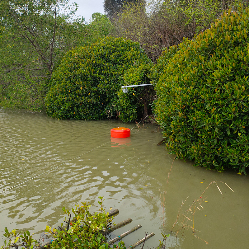 廣東深圳華僑城國(guó)家濕地公園自然生態(tài)環(huán)境監(jiān)測(cè)系統(tǒng)安裝完成