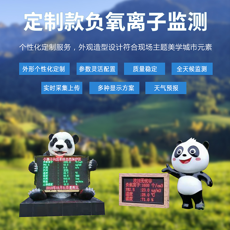 療養(yǎng)院空氣質(zhì)量負(fù)氧離子檢測儀 環(huán)境負(fù)氧離子實時監(jiān)測設(shè)備